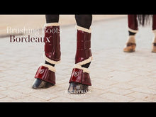 Load and play video in Gallery viewer, Equestrian Stockholm Brushing Boots - Bordeaux

