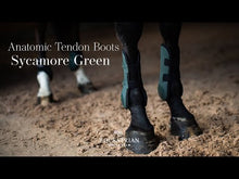 Load and play video in Gallery viewer, Equestrian Stockholm Tendon Boots - Sycamore Green
