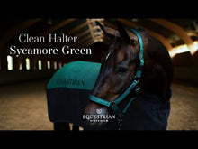 Load and play video in Gallery viewer, Equestrian Stockholm Headcollar &amp; Leadrope - Sycamore Green
