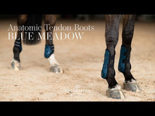 Load and play video in Gallery viewer, Equestrian Stockholm Tendon Boots - Meadow Blue
